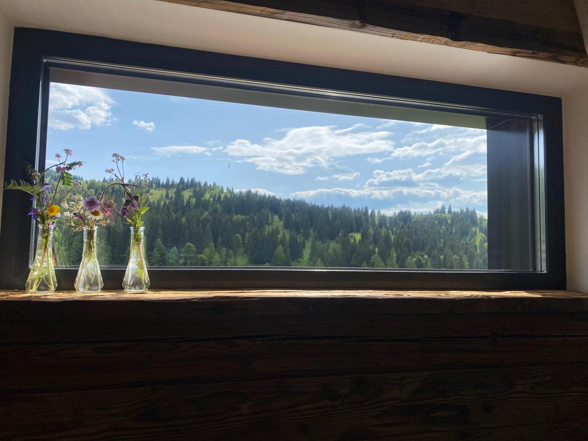 Kaliba Cabins Valea Boros Dış mekan fotoğraf