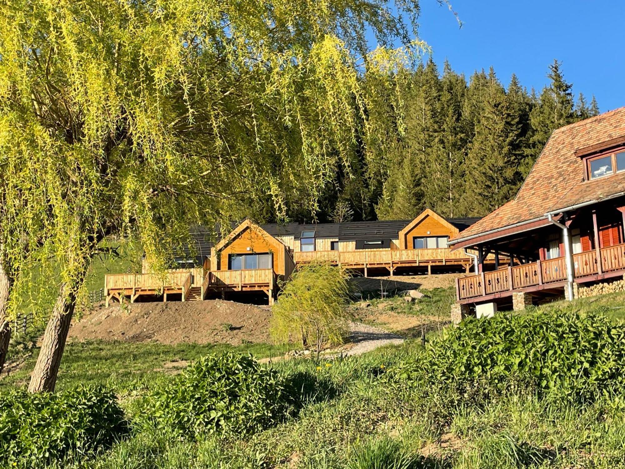 Kaliba Cabins Valea Boros Dış mekan fotoğraf